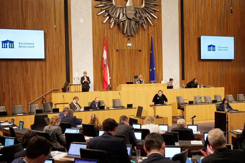 Am Rednerpult Nationalratsabgeordnete Eva Blimlinger (GRÜNE)