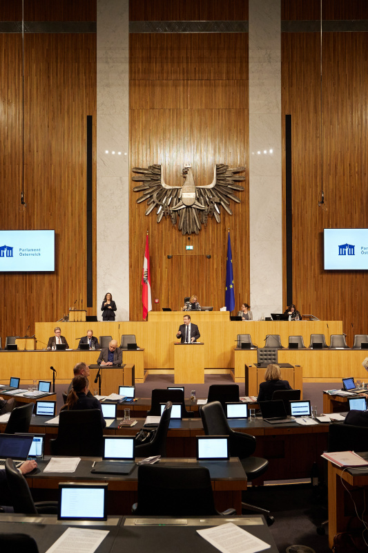 Am Rednerpult Nationalratsabgeordneter Hermann Brückl (FPÖ)