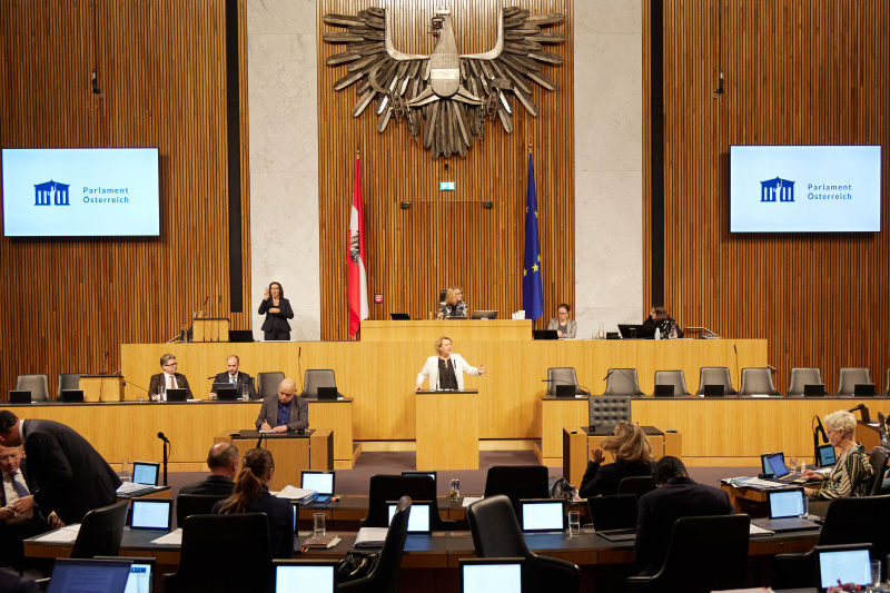 Am Rednerpult Nationalratsabgeordnete Gertraud Salzmann (ÖVP)