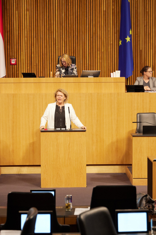 Am Rednerpult Nationalratsabgeordnete Gertraud Salzmann (ÖVP)