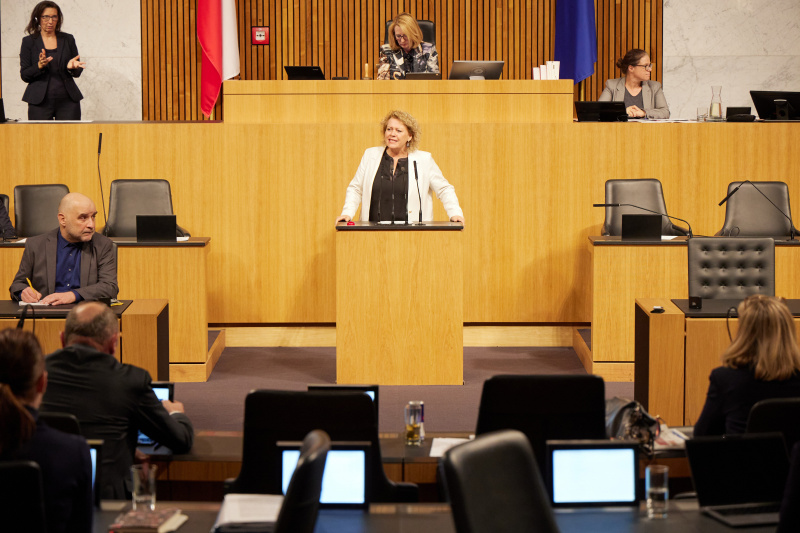 Am Rednerpult Nationalratsabgeordnete Gertraud Salzmann (ÖVP)