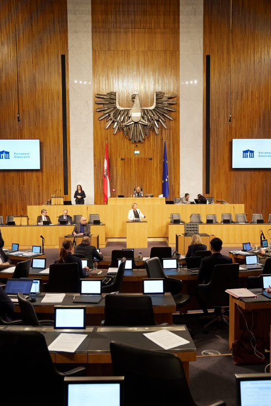 Am Rednerpult Nationalratsabgeordnete Gertraud Salzmann (ÖVP)