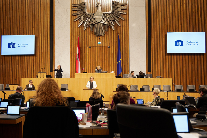 Am Rednerpult Nationalratsabgeordnete Gertraud Salzmann (ÖVP)