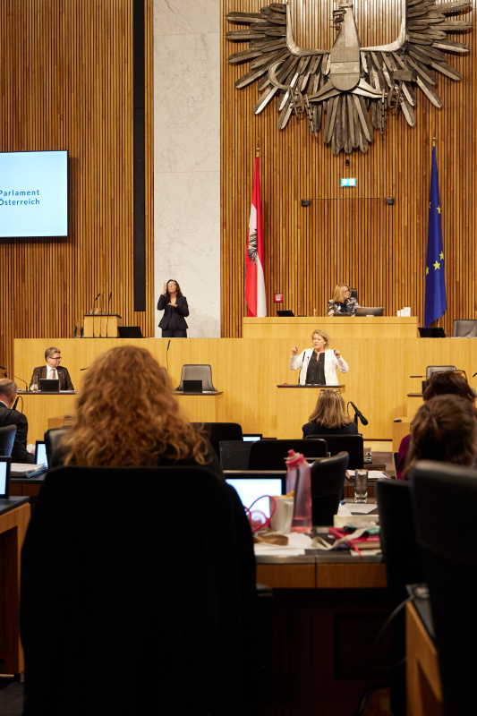 Am Rednerpult Nationalratsabgeordnete Gertraud Salzmann (ÖVP)