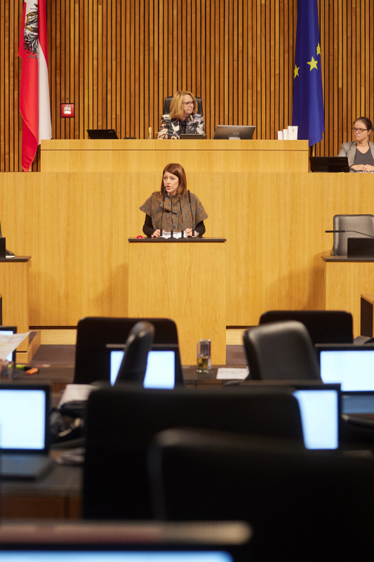 Am Rednerpult Nationalratsabgeordnete Katharina Kucharowits (SPÖ)