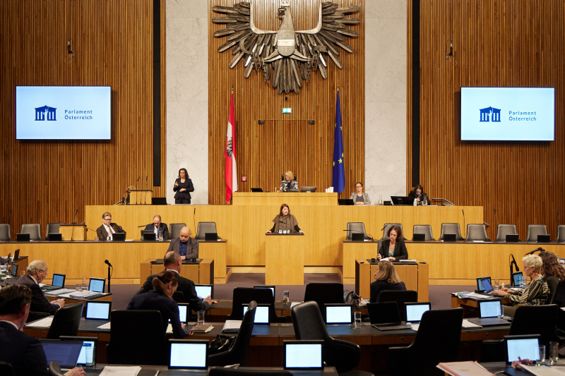 Am Rednerpult Nationalratsabgeordnete Katharina Kucharowits (SPÖ)