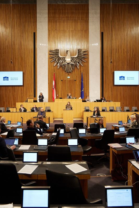 Am Rednerpult Nationalratsabgeordnete Katharina Kucharowits (SPÖ)