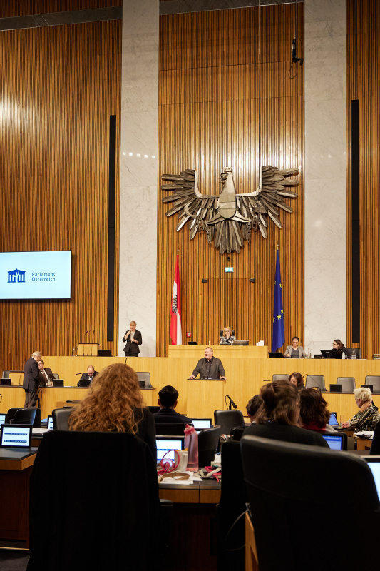 Am Rednerpult Nationalratsabgeordneter Michael Seemayer (SPÖ)