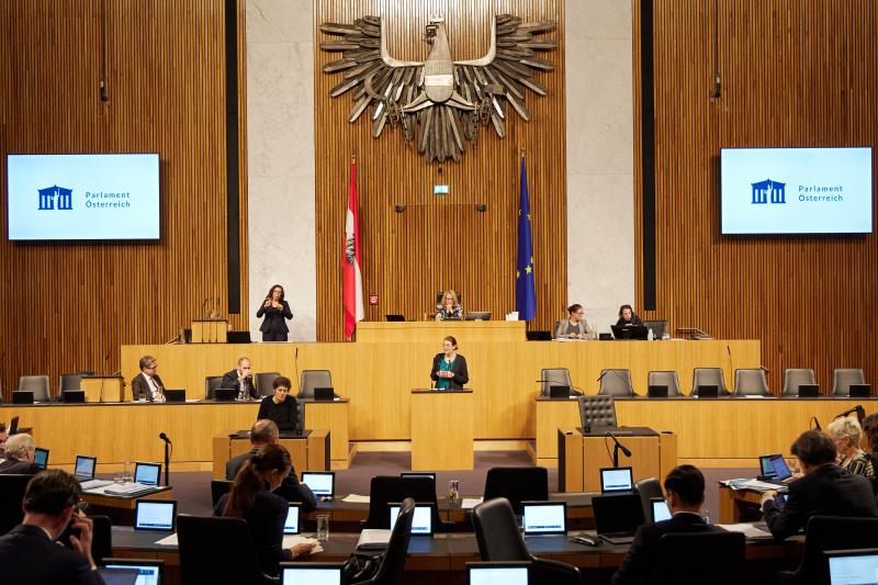 Am Rednerpult Nationalratsabgeordnete Andrea Holzner (ÖVP)