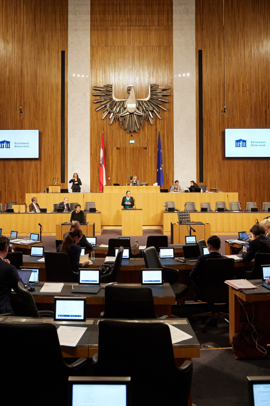 Am Rednerpult Nationalratsabgeordnete Andrea Holzner (ÖVP)