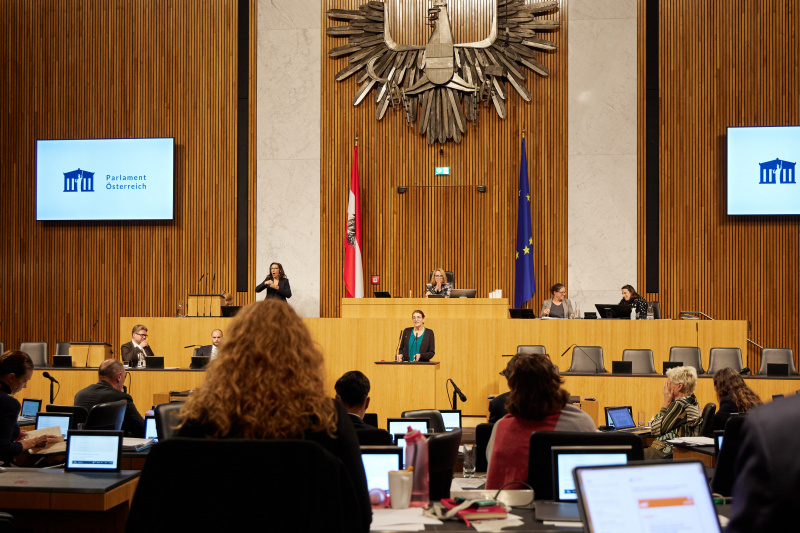 Am Rednerpult Nationalratsabgeordnete Andrea Holzner (ÖVP)