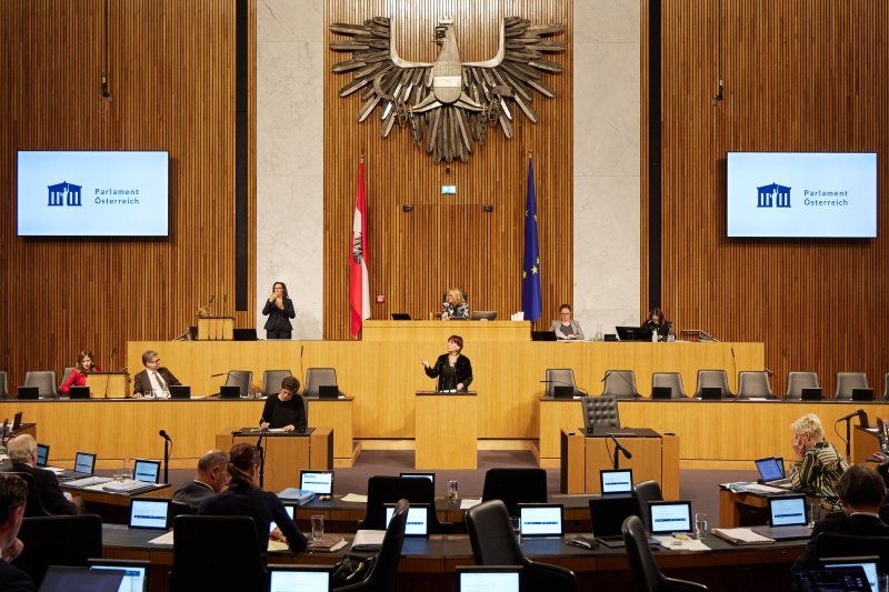 Am Rednerpult Nationalratsabgeordnete Petra Oberrauner (SPÖ)