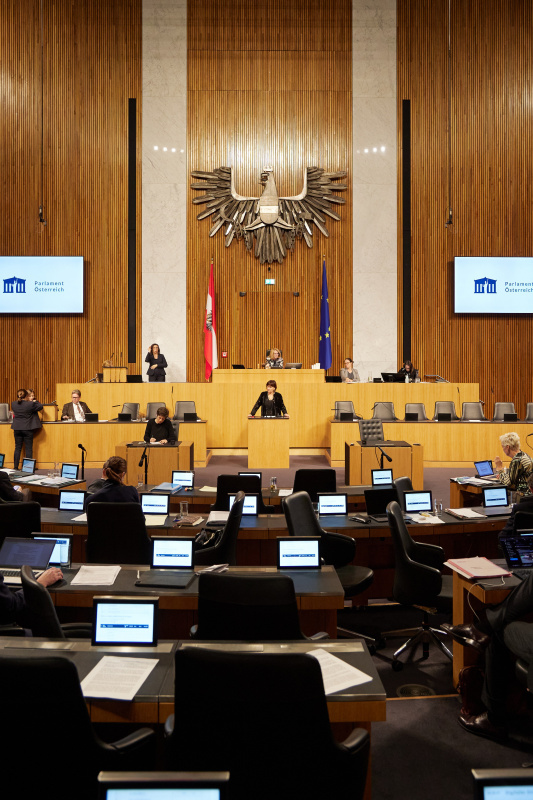 Am Rednerpult Nationalratsabgeordnete Petra Oberrauner (SPÖ)