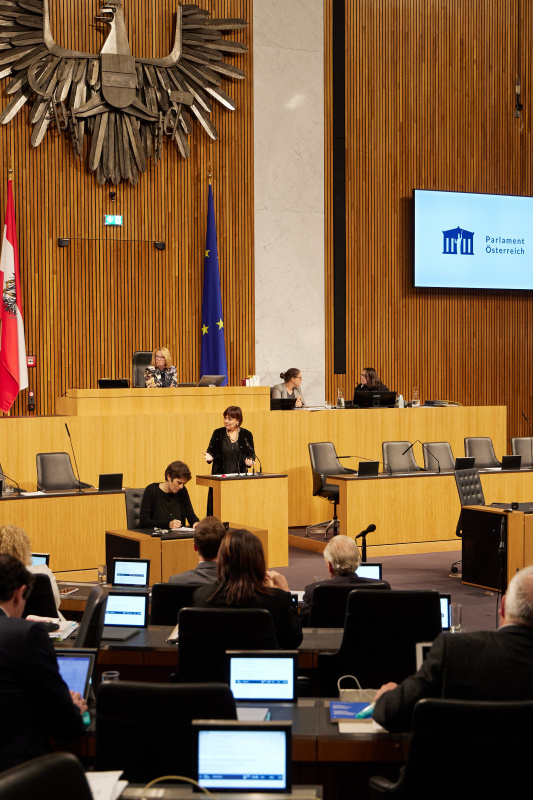 Am Rednerpult Nationalratsabgeordnete Petra Oberrauner (SPÖ)