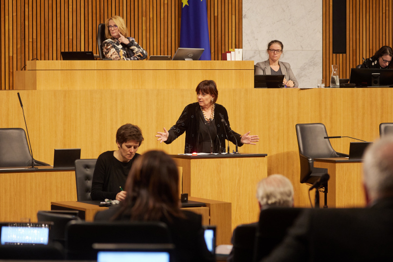 Am Rednerpult Nationalratsabgeordnete Petra Oberrauner (SPÖ)