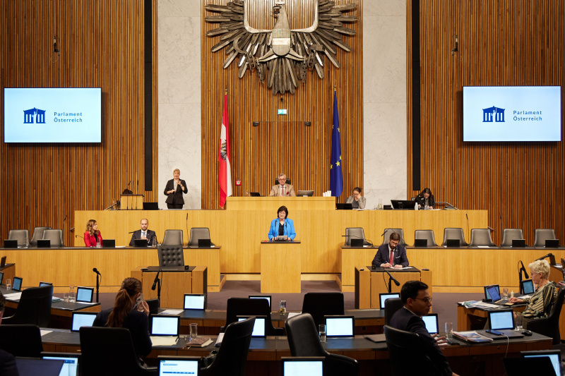 Am Rednerpult Nationalratsabgeordnete Rosa Ecker (FPÖ)