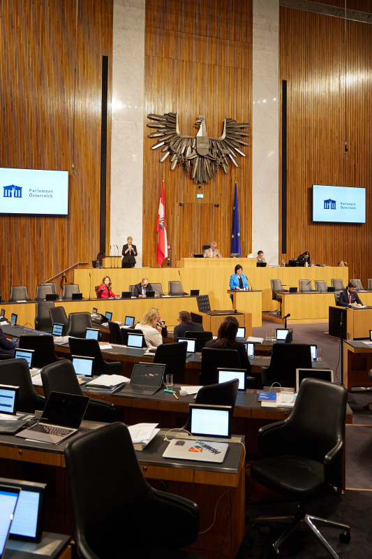 Am Rednerpult Nationalratsabgeordnete Rosa Ecker (FPÖ)