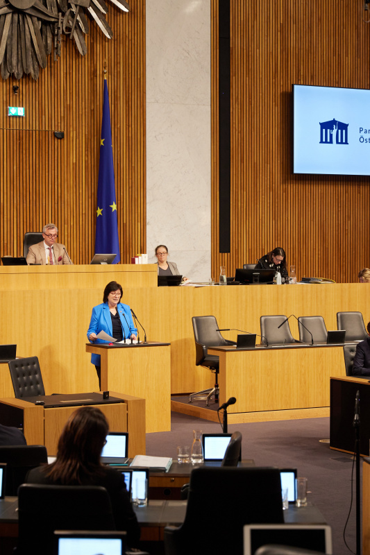 Am Rednerpult Nationalratsabgeordnete Rosa Ecker (FPÖ)