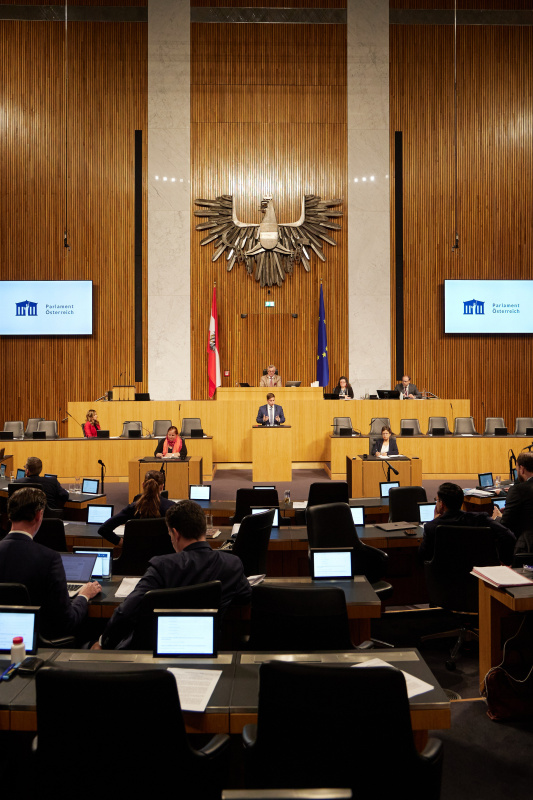 Am Rednerpult Nationalratsabgeordneter Lukas Brandweiner (ÖVP)