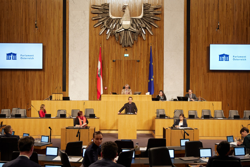 Am Rednerpult Nationalratsabgeordneter Christian Oxonitsch (SPÖ)