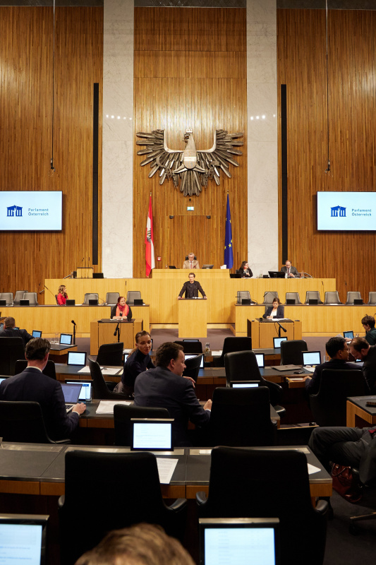 Am Rednerpult Nationalratsabgeordneter Christian Oxonitsch (SPÖ)