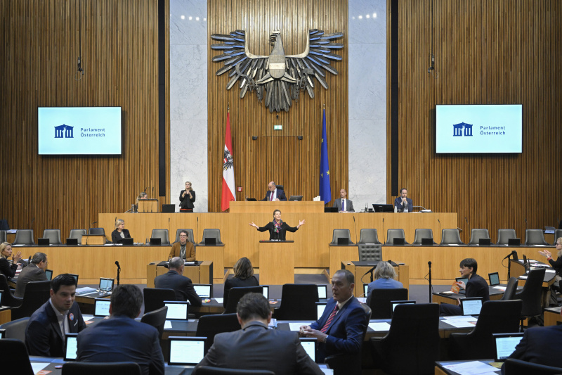 Am Rednerpult: Nationalratsabgeordnete Gabriele Heinisch-Hosek (SPÖ). Blick Richtung Sitzungsteilnehmer:innen