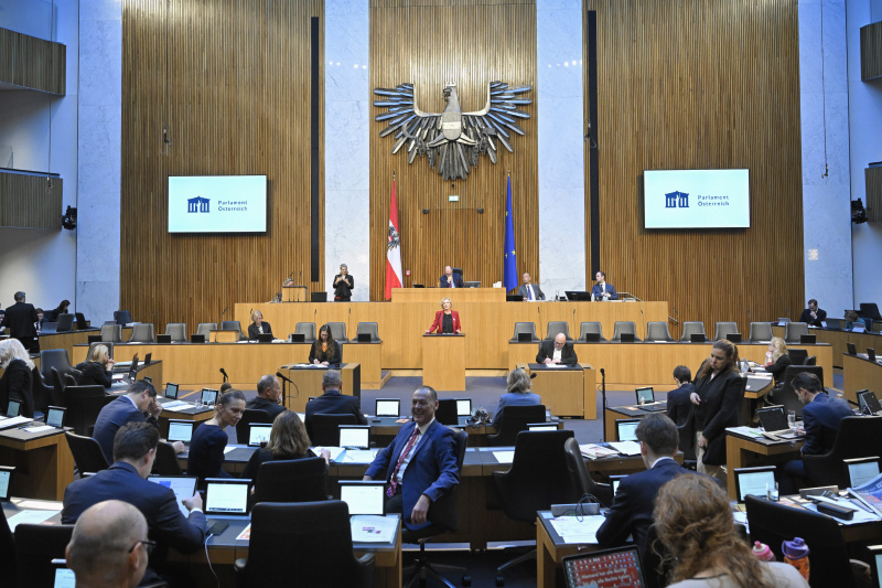 Am Rednerpult: Nationalratsabgeordnete Karin Greiner (SPÖ). Blick Richtung Sitzungsteilnehmer:innen