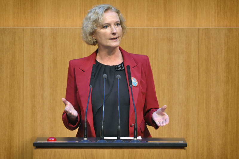 Am Rednerpult: Nationalratsabgeordnete Karin Greiner (SPÖ)