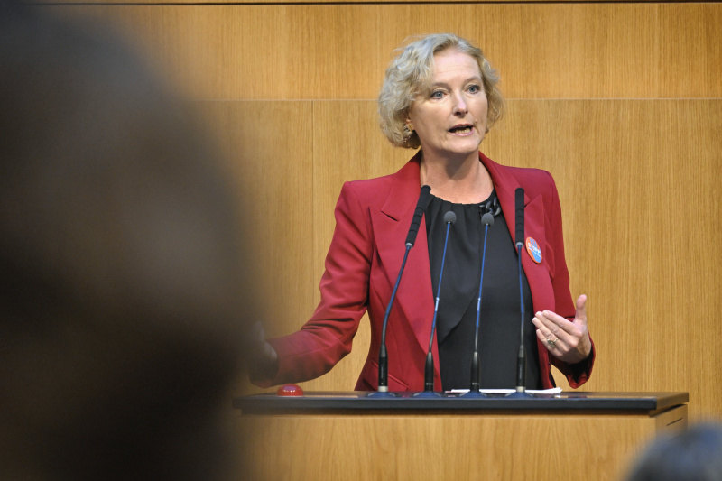 Am Rednerpult: Nationalratsabgeordnete Karin Greiner (SPÖ)