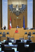 Am Rednerpult: Nationalratsabgeordnete Elisabeth Götze (GRÜNE). Blick Richtung Sitzungsteilnehmer:innen