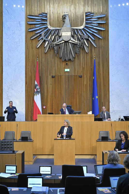 Am Rednerpult: Nationalratsabgeordnete Gertraud Salzmann (ÖVP). Blick Richtung Sitzungsteilnehmer:innen