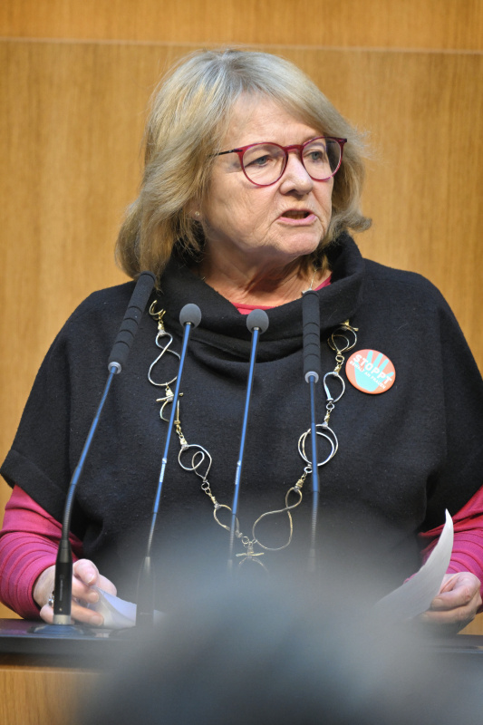 Am Rednerpult: Nationalratsabgeordnete Ruth Becher (SPÖ)