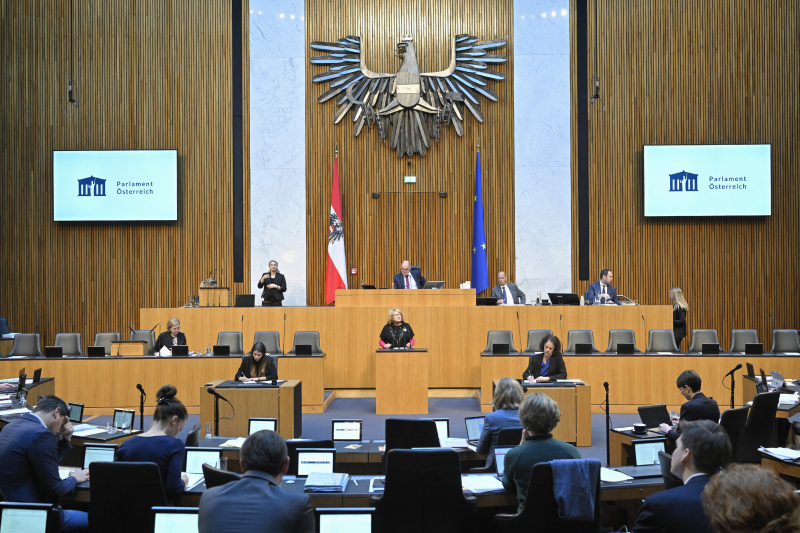 Am Rednerpult: Nationalratsabgeordnete Ruth Becher (SPÖ). Blick Richtung Sitzungsteilnehmer:innen