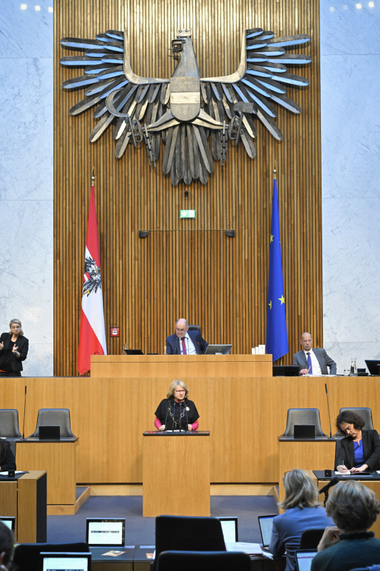 Am Rednerpult: Nationalratsabgeordnete Ruth Becher (SPÖ). Blick Richtung Sitzungsteilnehmer:innen