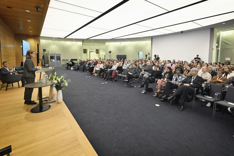 Einleitung. Geschäftsführende Direktorin Vienna Institute for International Dialogue and Cooperation Sybille Straubinger. 