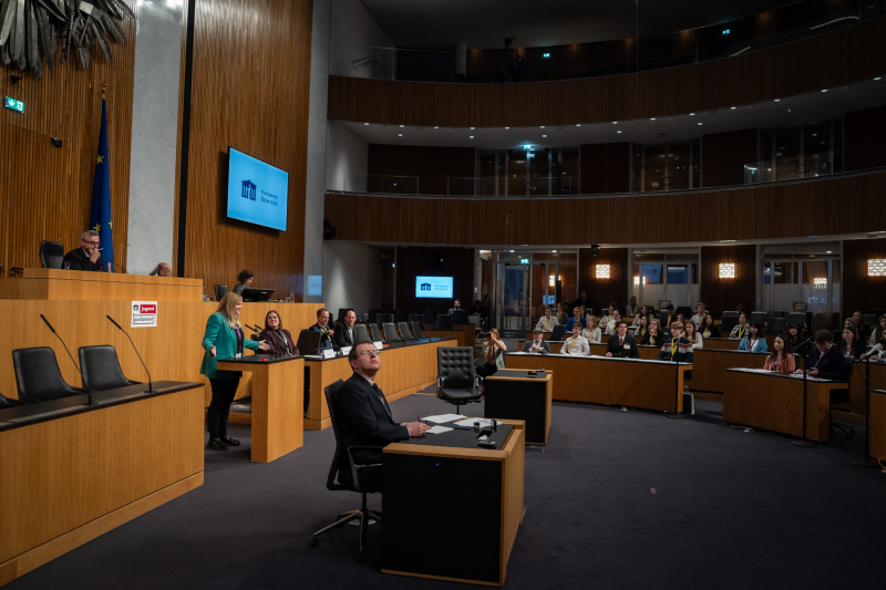 Am Rednerpult Nationalratsabgeordnete Elisabeth Feichtinger (SPÖ)