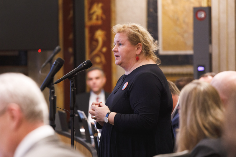 Bundesrätin Korinna Schumann (SPÖ)