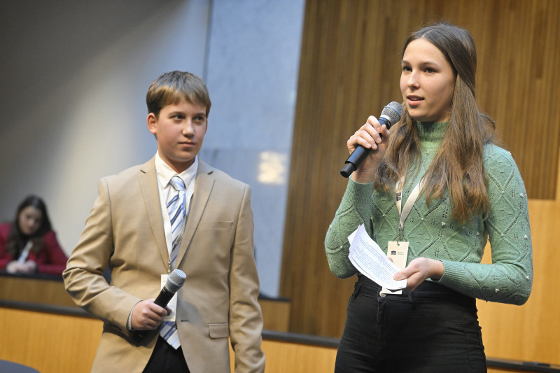 Panel 3 DIALOG verbindet - Demokratievermittlung -Demokratiebildung – Partizipationsworkshop. Schüler:innen des ZBG Oberwart