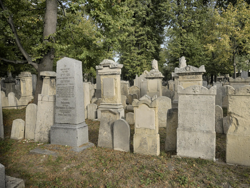 Einige Grabsteine am Jüdischen Friedhof in Wien Währing