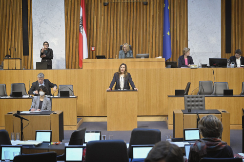 Am Rednerpult: Nationalratsabgeordnete Petra Steger (FPÖ).Blick Richtung Sitzungsteilnehmer:innen