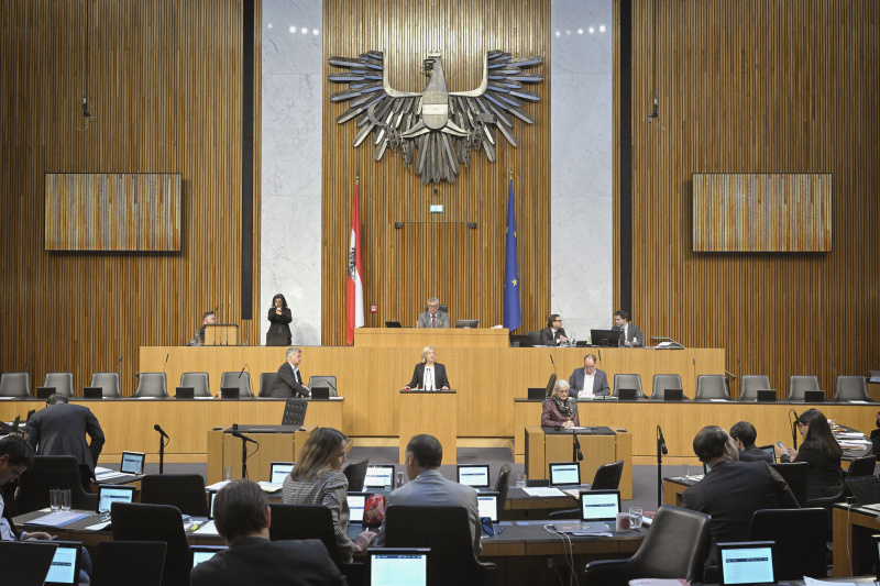 Am Rednerpult: Nationalratsabgeordnete Verena Nussbaum (SPÖ). Blick Richtung Sitzungsteilnehmer:innen