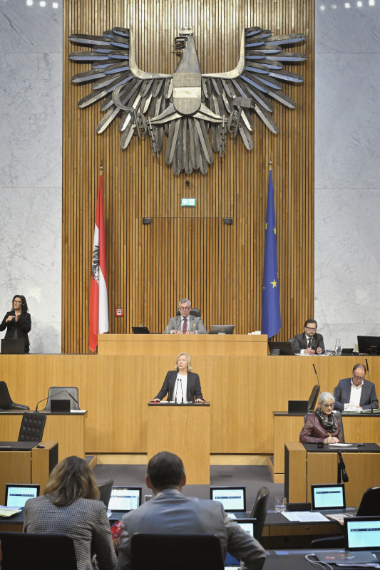 Am Rednerpult: Nationalratsabgeordnete Verena Nussbaum (SPÖ). Blick Richtung Sitzungsteilnehmer:innen