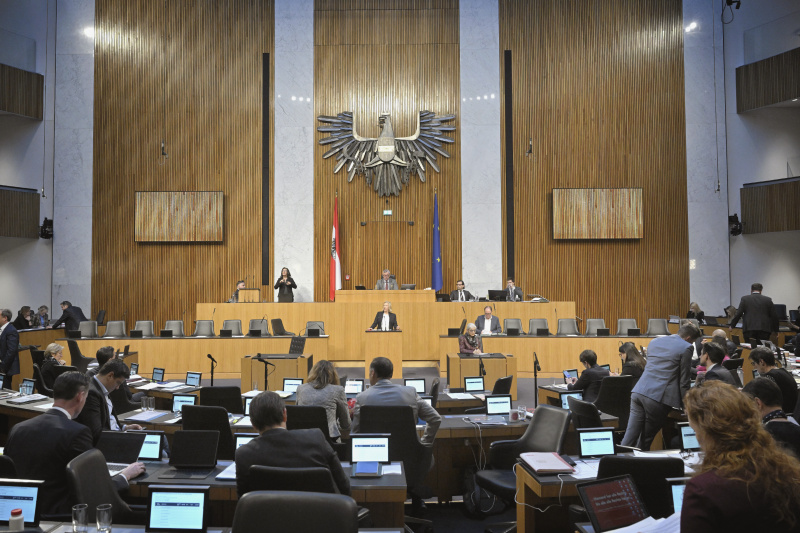 Am Rednerpult: Nationalratsabgeordnete Verena Nussbaum (SPÖ). Blick Richtung Sitzungsteilnehmer:innen