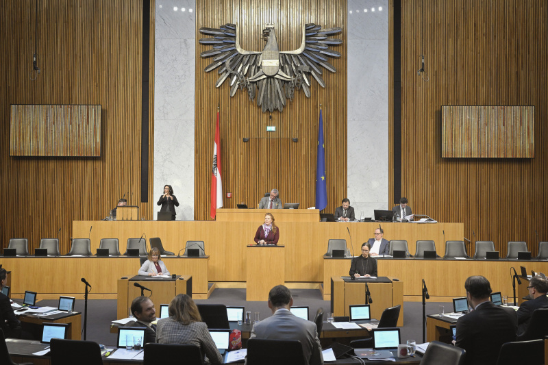 Am Rednerpult: Nationalratsabgeordnete Fiona Fiedler (NEOS). Blick Richtung Sitzungsteilnehmer:innen