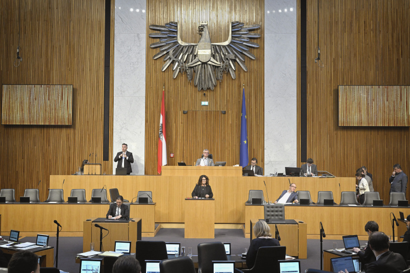 Am Rednerpult: Nationalratsabgeordnete Elisabeth Scheucher-Pichler (ÖVP). Blick Richtung Sitzungsteilnehmer:innen