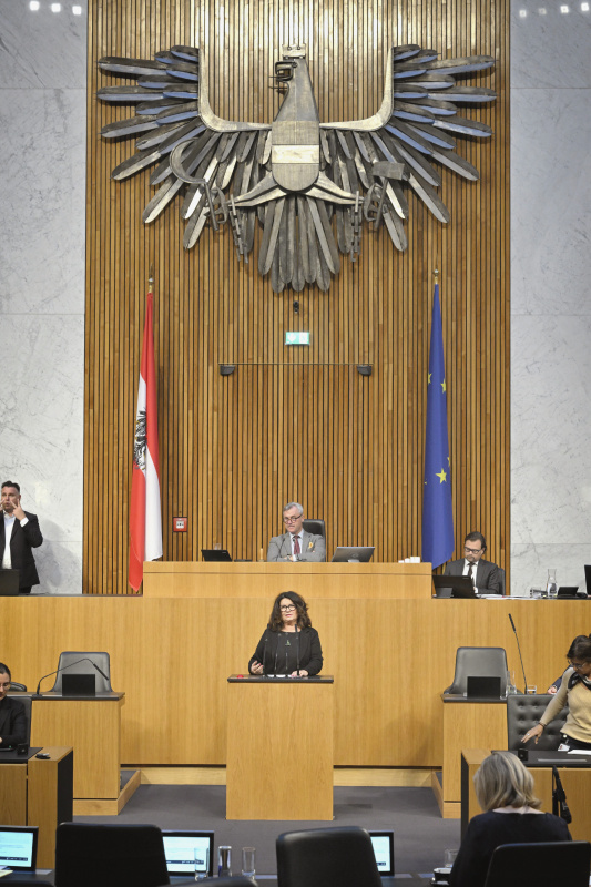 Am Rednerpult: Nationalratsabgeordnete Elisabeth Scheucher-Pichler (ÖVP)