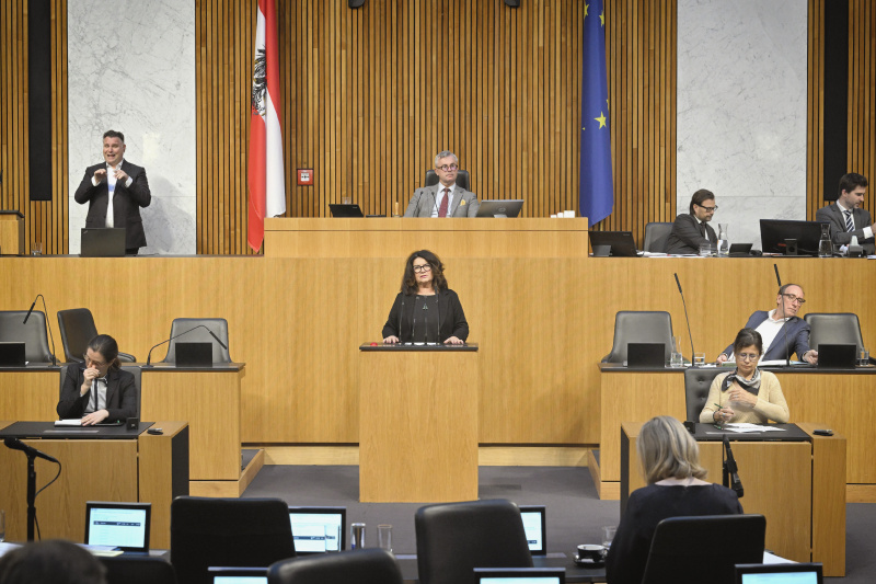 Am Rednerpult: Nationalratsabgeordnete Elisabeth Scheucher-Pichler (ÖVP)