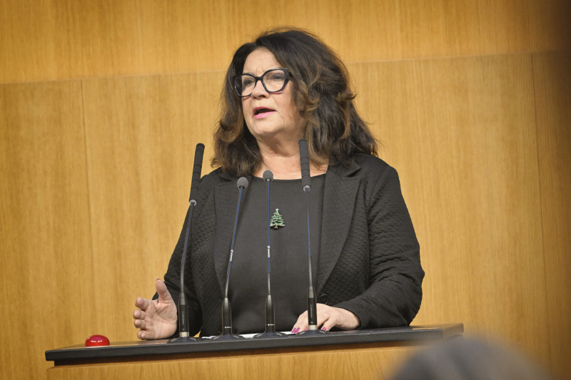 Am Rednerpult: Nationalratsabgeordnete Elisabeth Scheucher-Pichler (ÖVP)