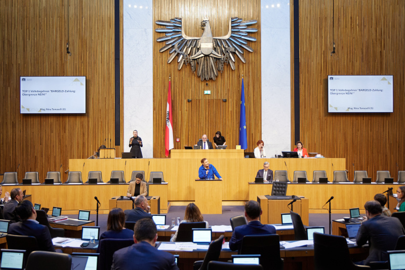 Am Rednerpult Nationalratsabgeordnete Nina Tomaselli (GRÜNE)