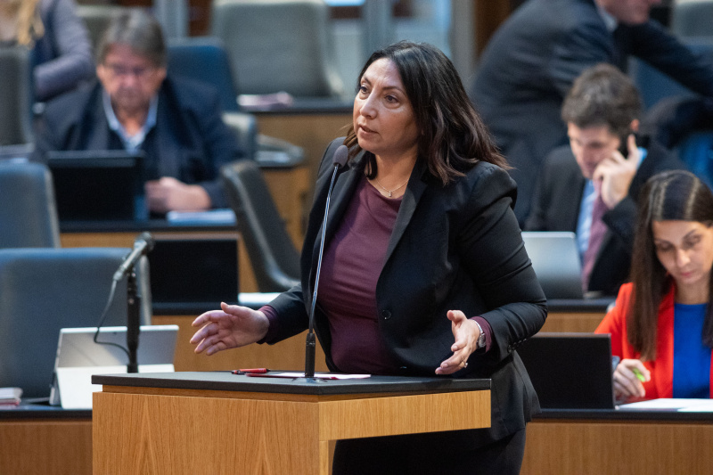 Fragestellerin Nationalratsabgeordnete Selma Yildirim (SPÖ)